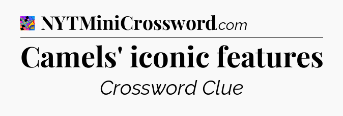 Camels' iconic features Crossword Clue