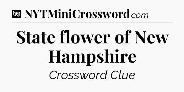 State flower of New Hampshire Crossword Clue