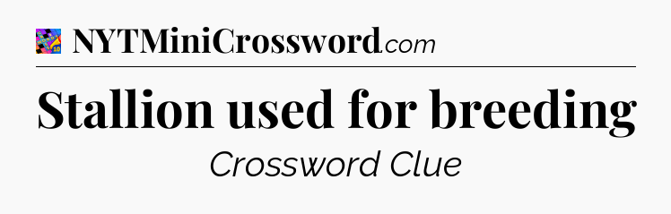 Stallion used for breeding Crossword Clue