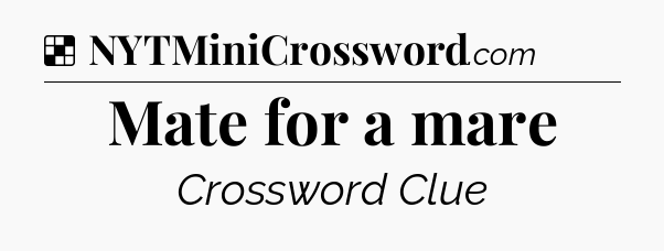 Solution: Mate for a mare - NYT Crossword
