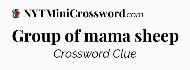 Group of mama sheep Crossword Clue