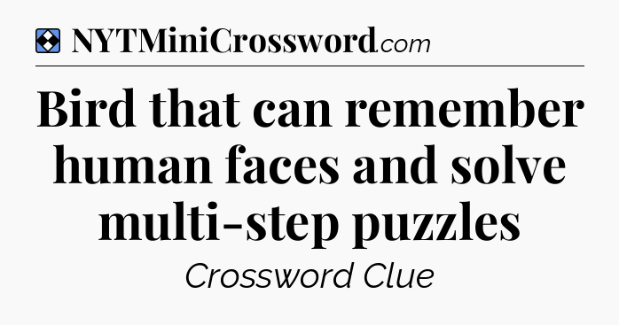 Solution: Bird that can remember human faces and solve multi-step puzzles - NYT Mini Crossword