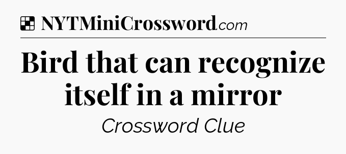 Solution: Bird that can recognize itself in a mirror - NYT Crossword