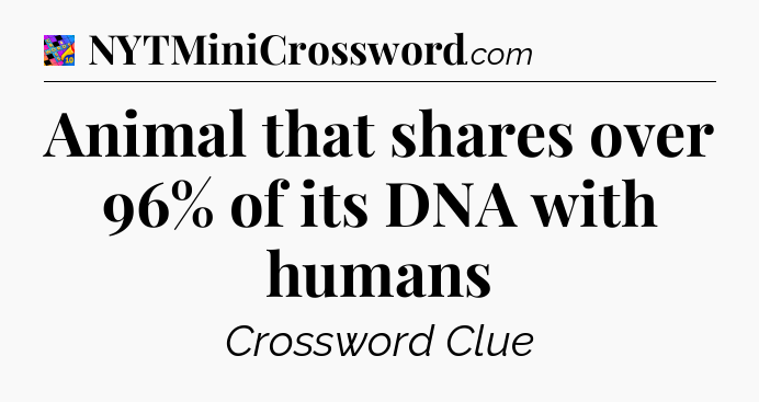 Animal that shares over 96% of its DNA with humans Crossword Clue