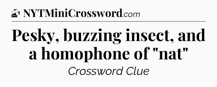 Pesky, buzzing insect, and a homophone of 
