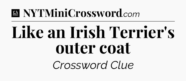 Like an Irish Terrier's outer coat - LA Times Crossword