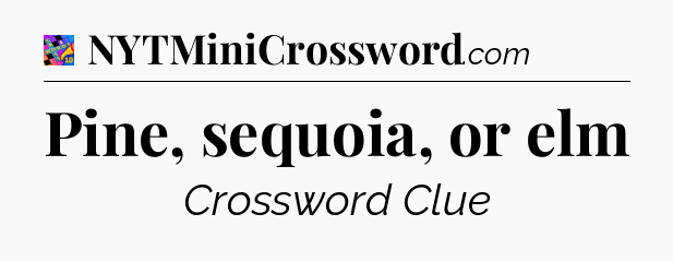Pine, sequoia, or elm Crossword Clue