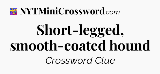 Short-legged, smooth-coated hound Codycross