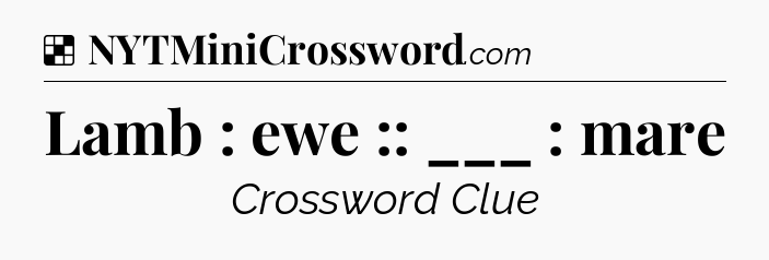 Solution: Lamb : ewe :: ___ : mare - NYT Crossword