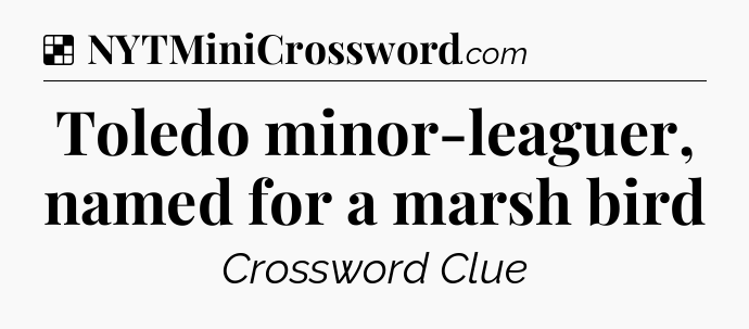 Solution: Toledo minor-leaguer, named for a marsh bird - NYT Crossword