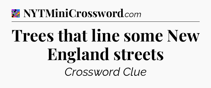 Trees that line some New England streets Crossword Clue