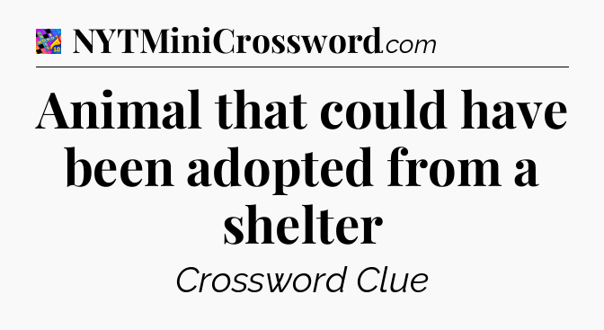 Animal that could have been adopted from a shelter Crossword Clue