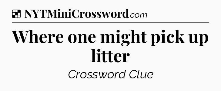 Solution: Where one might pick up litter - NYT Crossword