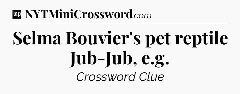 Selma Bouvier's pet reptile Jub-Jub, e.g Crossword Clue