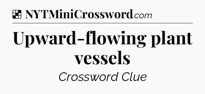 Solution: Upward-flowing plant vessels - NYT Crossword