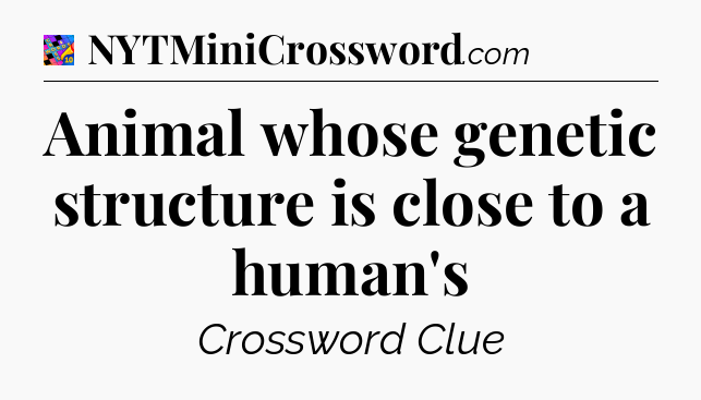 Animal whose genetic structure is close to a human's Crossword Clue