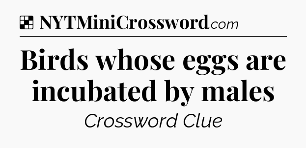 Solution: Birds whose eggs are incubated by males - NYT Crossword