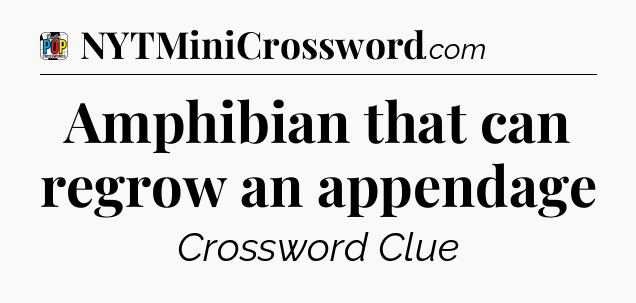Amphibian that can regrow an appendage Crossword Clue