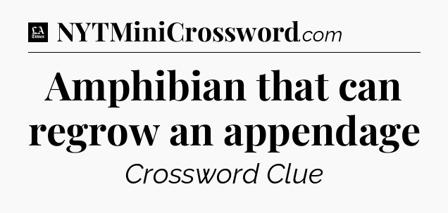 Amphibian that can regrow an appendage - LA Times Crossword