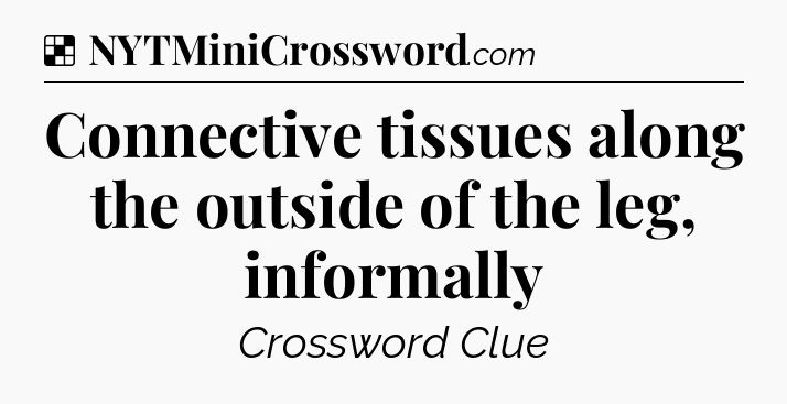 Solution: Connective tissues along the outside of the leg, informally - NYT Crossword