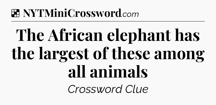 Solution: The African elephant has the largest of these among all animals - NYT Crossword