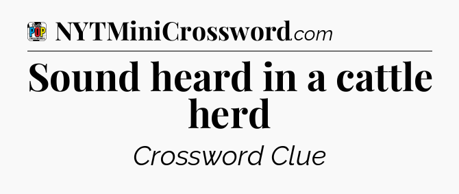Sound heard in a cattle herd Crossword Clue