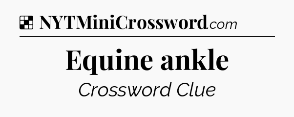 Solution: Equine ankle - NYT Crossword