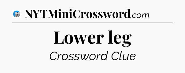 Lower leg Crossword Clue