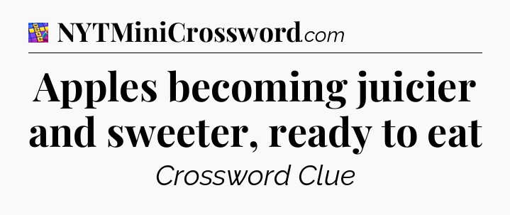 Apples becoming juicier and sweeter, ready to eat Codycross
