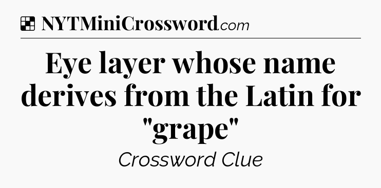Solution: Eye layer whose name derives from the Latin for 