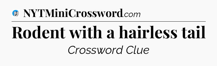 Rodent with a hairless tail Crossword Clue