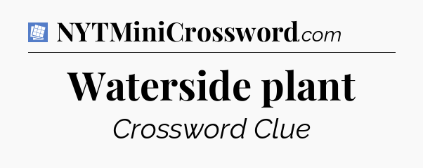 Waterside plant Puzzle Page Crossword Clue