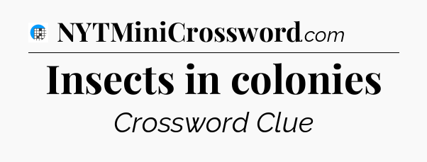 Insects in colonies Crossword Clue