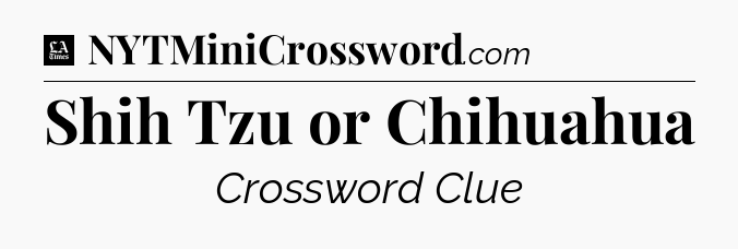 Shih Tzu or Chihuahua - LA Times Crossword