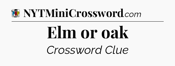 Elm or oak Crossword Clue