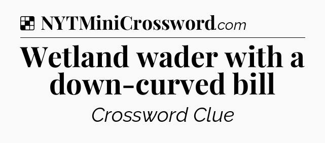 Solution: Wetland wader with a down-curved bill - NYT Crossword
