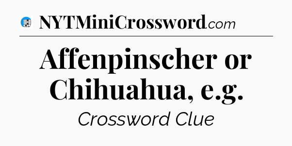 Affenpinscher or Chihuahua, e.g Crossword Clue