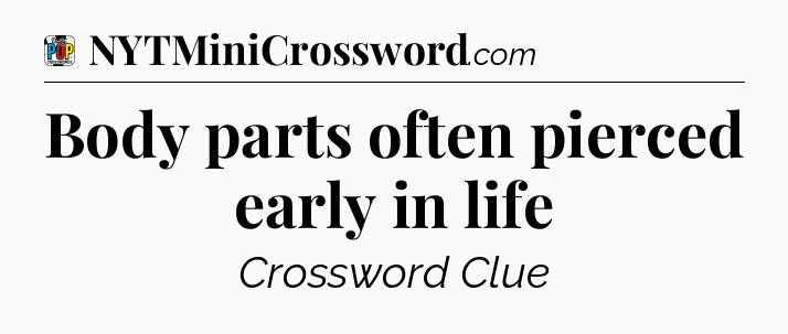 Body parts often pierced early in life Crossword Clue