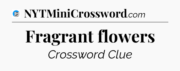 Fragrant flowers Crossword Clue