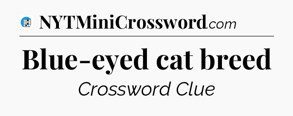 Blue-eyed cat breed Crossword Clue