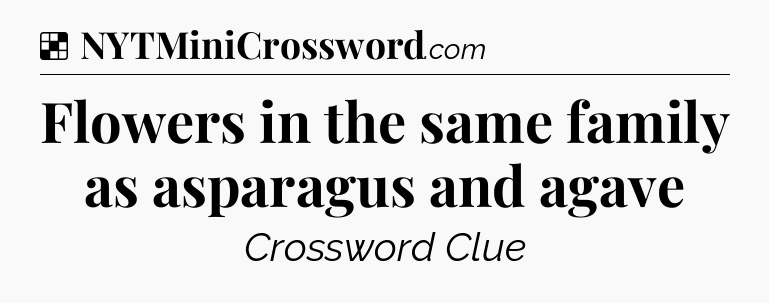 Solution: Flowers in the same family as asparagus and agave - NYT Crossword