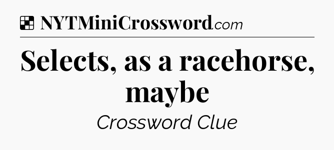 Solution: Selects, as a racehorse, maybe - NYT Crossword