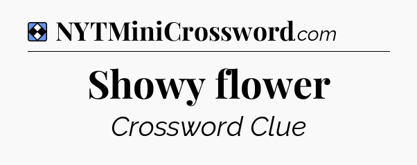 Solution: Showy flower - NYT Mini Crossword