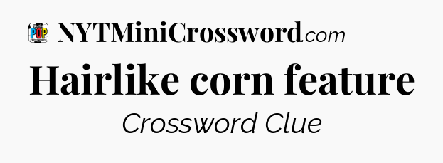 Hairlike corn feature Crossword Clue