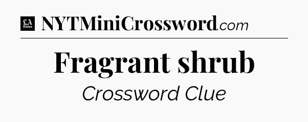 Fragrant shrub - LA Times Crossword