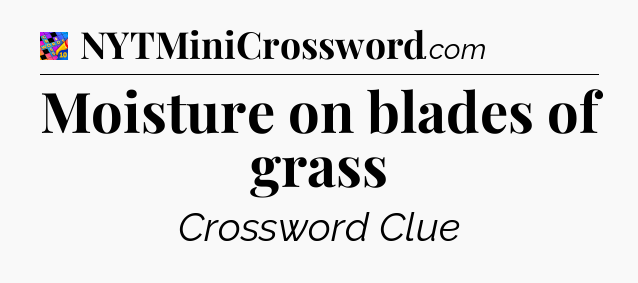 Moisture on blades of grass Crossword Clue