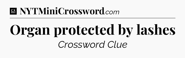 Organ protected by lashes - LA Times Crossword