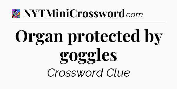 Organ protected by goggles Crossword Clue