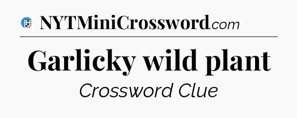 Garlicky wild plant Crossword Clue