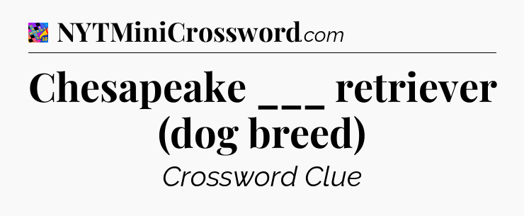 Chesapeake ___ retriever (dog breed) Crossword Clue